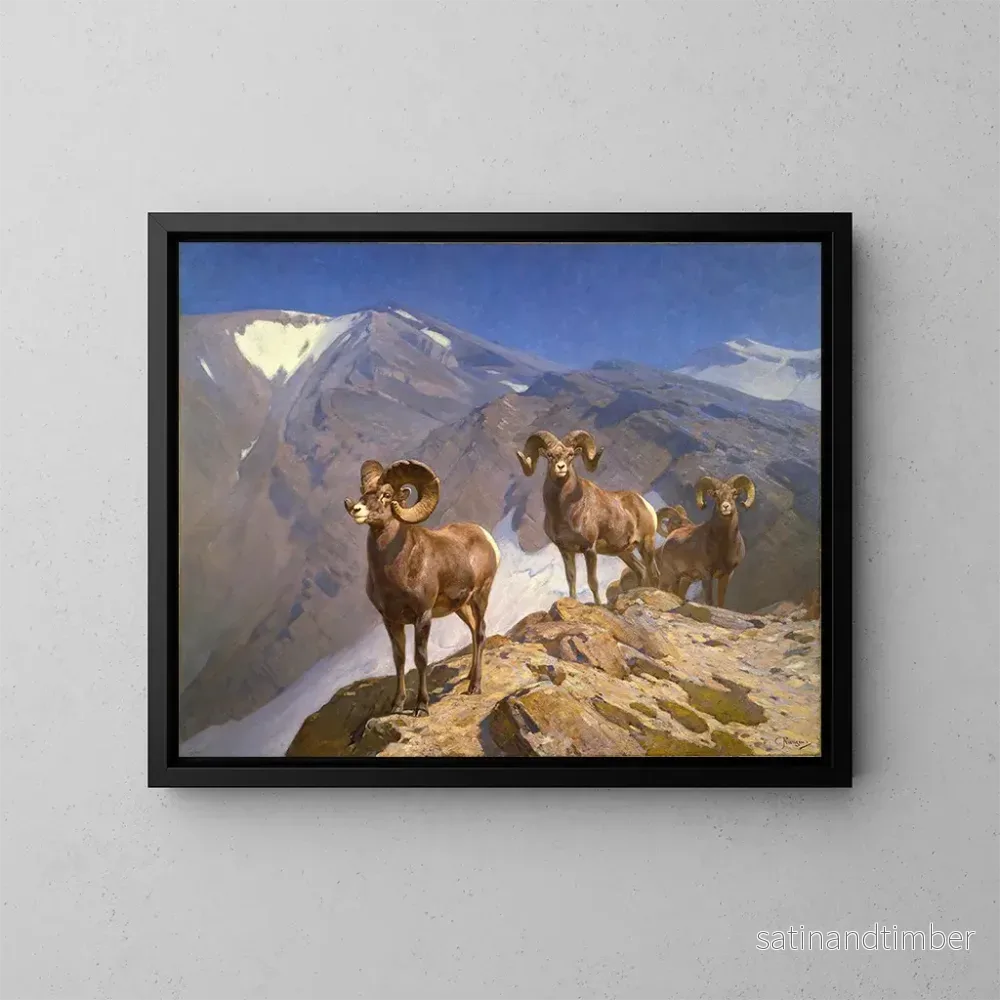 Reproduktion av målningen Les moutons de Dall sur le col Wilcox - Carl Rungius