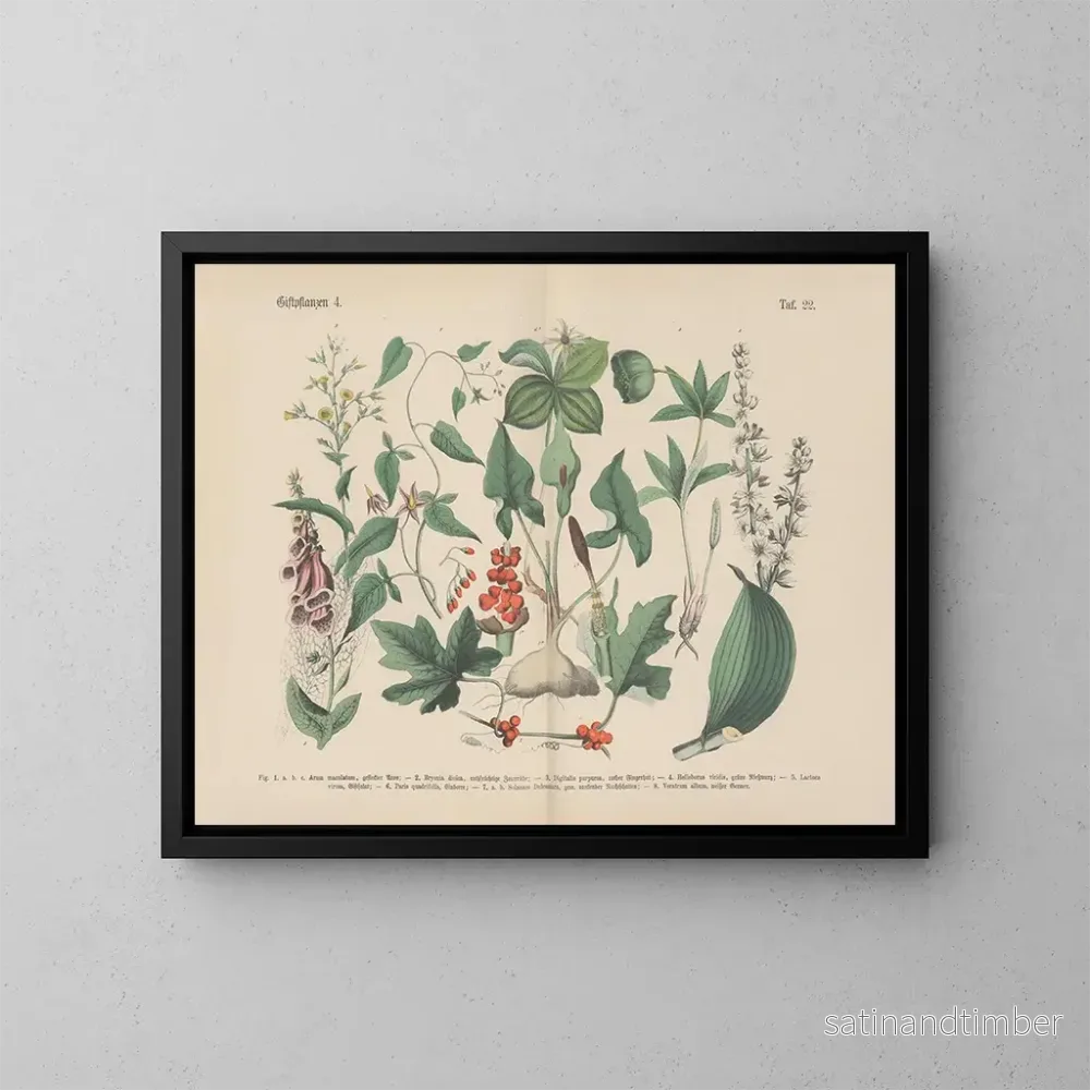 Reproduktion av målningen Manuel de botanique pratique en mots et en images Pl22 - Carl Hoffmann
