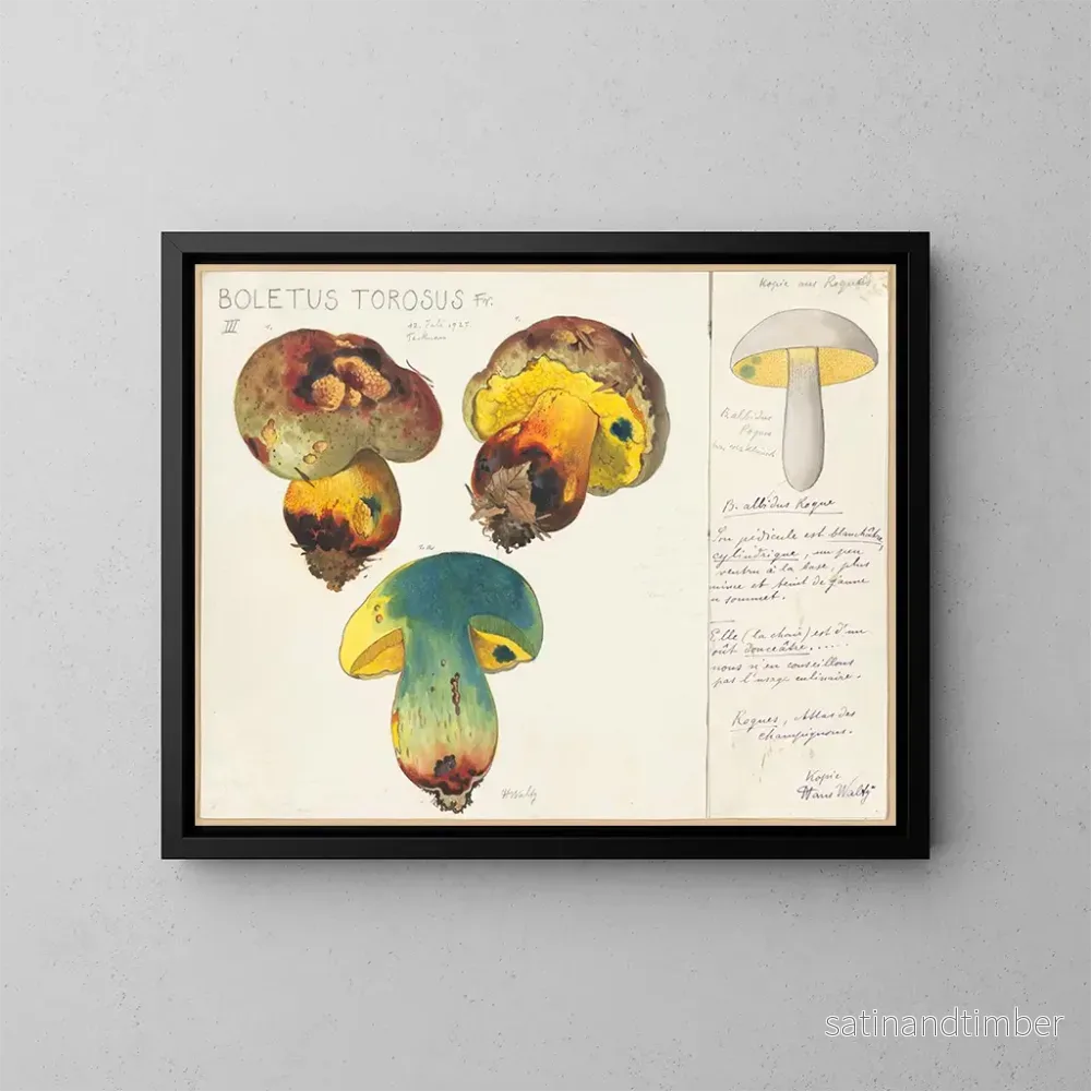 Reproduktion av målningen Boletus torosus – Hans Baldung Reproduktion av målningen Boletus torosus – Hans Baldung