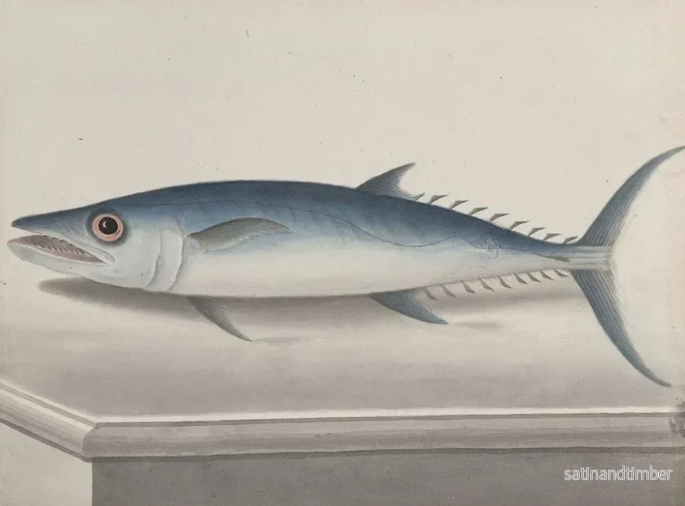 Reproduktion av målningen Histoire naturelle de Saint-Domingue Pl109 - René de Rabi - Bild 2