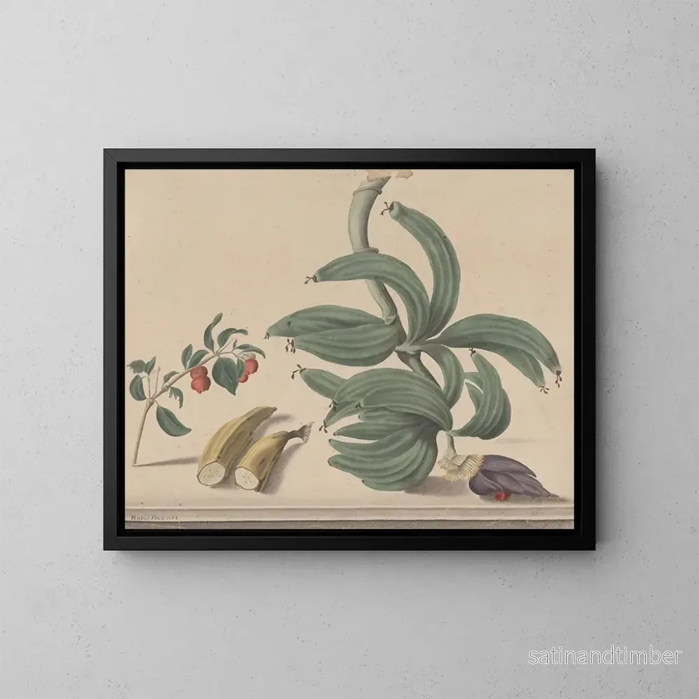 Reproduktion av målningen Histoire naturelle de Saint-Domingue Pl137 - René de Rabi