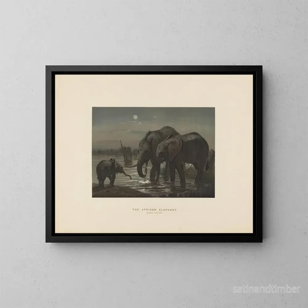 Reproduktion av målningen av Afrikansk elefant - Joseph Wolf