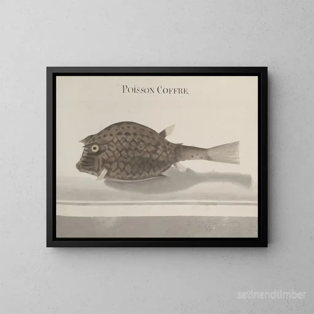 Reproduktion av målningen Histoire naturelle de Saint-Domingue Pl100 - René de Rabi