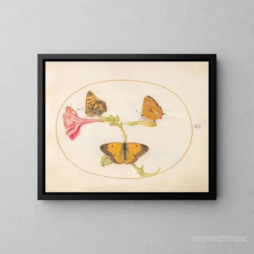 Reproduktion av målningen Plaque 10: Den bruna av håret, den silverfärgade fritillaria och den gula molniga fjärilen på en fyra-timmars blomma - Joris Hoefnagel