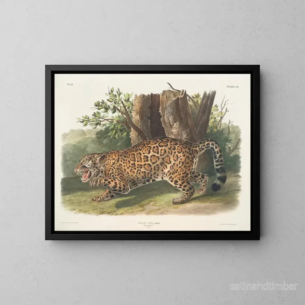 Reproduktion av målningen Jaguar hona - John Woodhouse Audubon