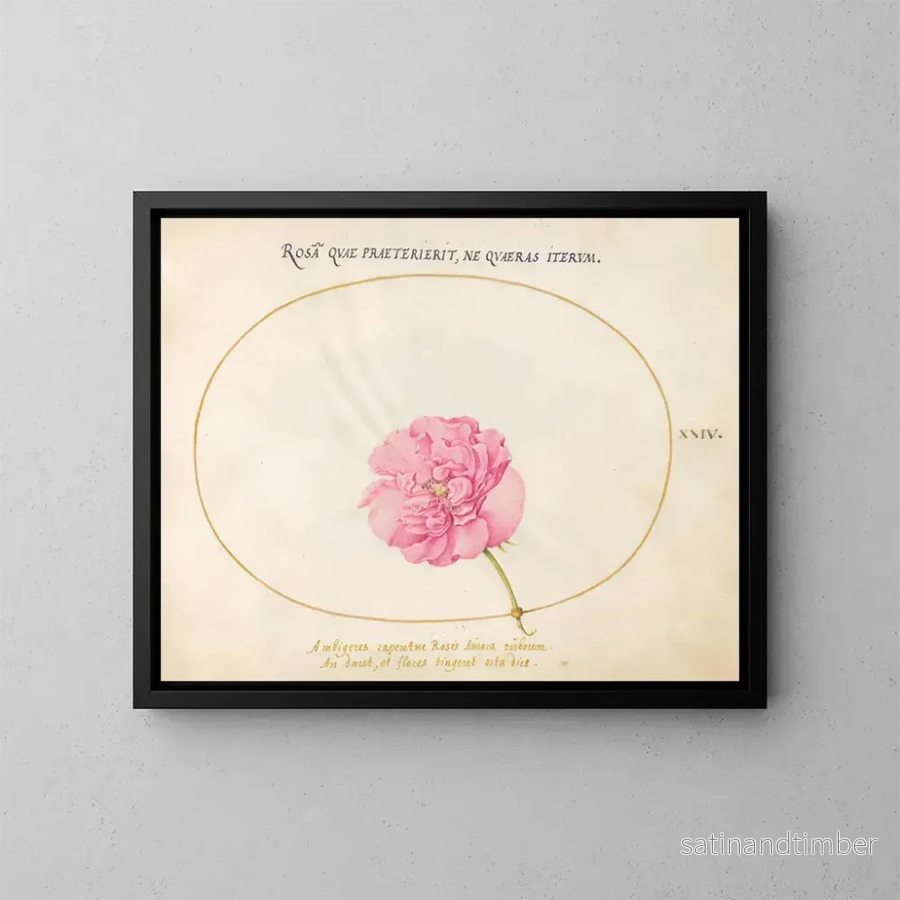 Reproduktion av målningen Plante 24 Rose rose - Joris Hoefnagel