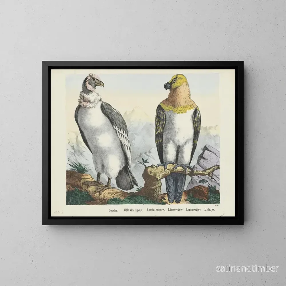 Reproduktion av målningen Condor - Joseph Scholz