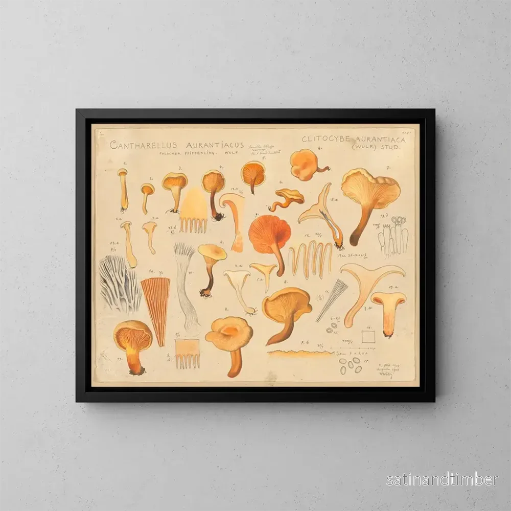 Reproduktion av målningen Chanterelle orangée - Hans Baldung