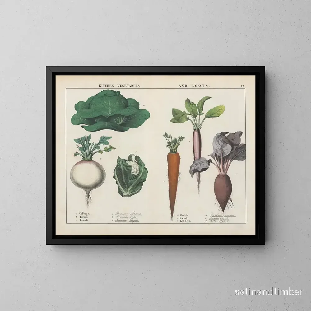 Reproduktion av målningen av köksgrönsaker och rotfrukter: kål, rotselleri, broccoli - Charlotte Mary Yonge