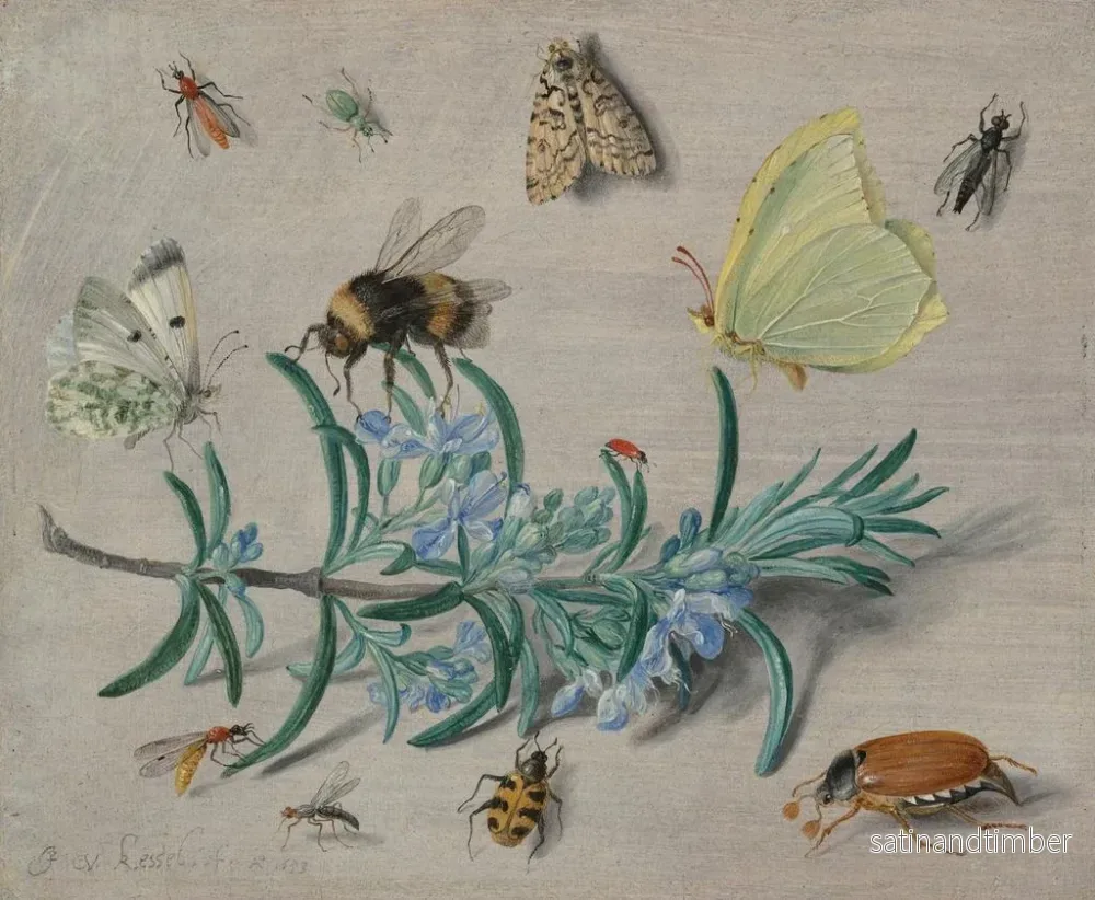 Reproduktion av målningen Insekter och en kvist rosmarin - Jan van Kessel den äldre - Bild 2