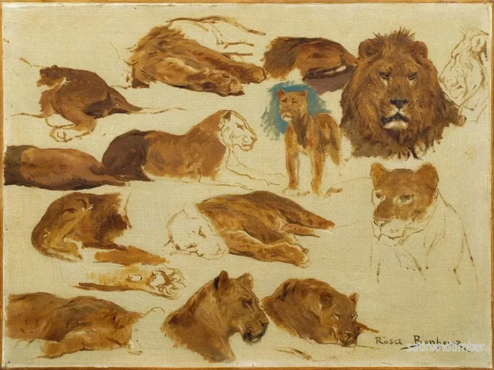 Reproduktion av målningen Skiss av lejon och lejoninnor - Rosa Bonheur - Bild 2