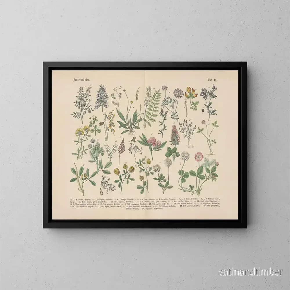 Reproduktion av målningen Manuel de botanique pratique en mots et en images Pl11 - Carl Hoffmann