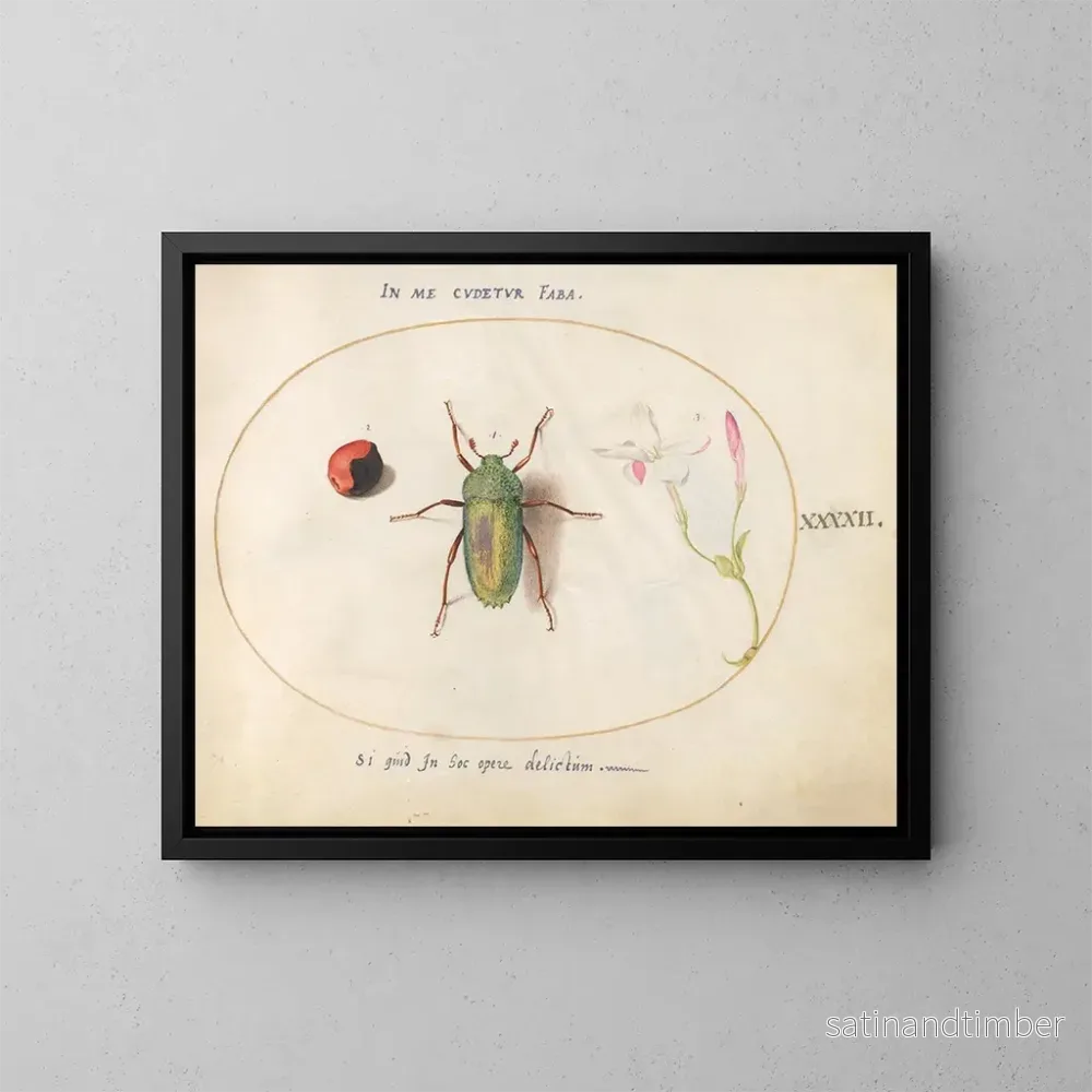 Reproduktion av målningen Plaque 42: Smyckesscarabé med ett rosenkranspojk och en oleanderblom - Joris Hoefnagel