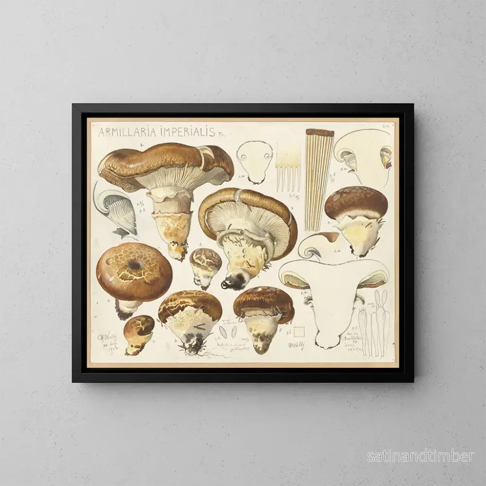Reproduktion av målningen Armillaria impérialis - Hans Baldung