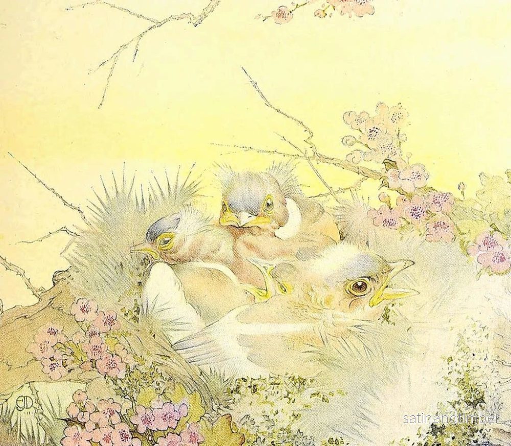 Reproduktion av målningen Le Pinson des arbres - Edward Julius Detmold - Bild 2