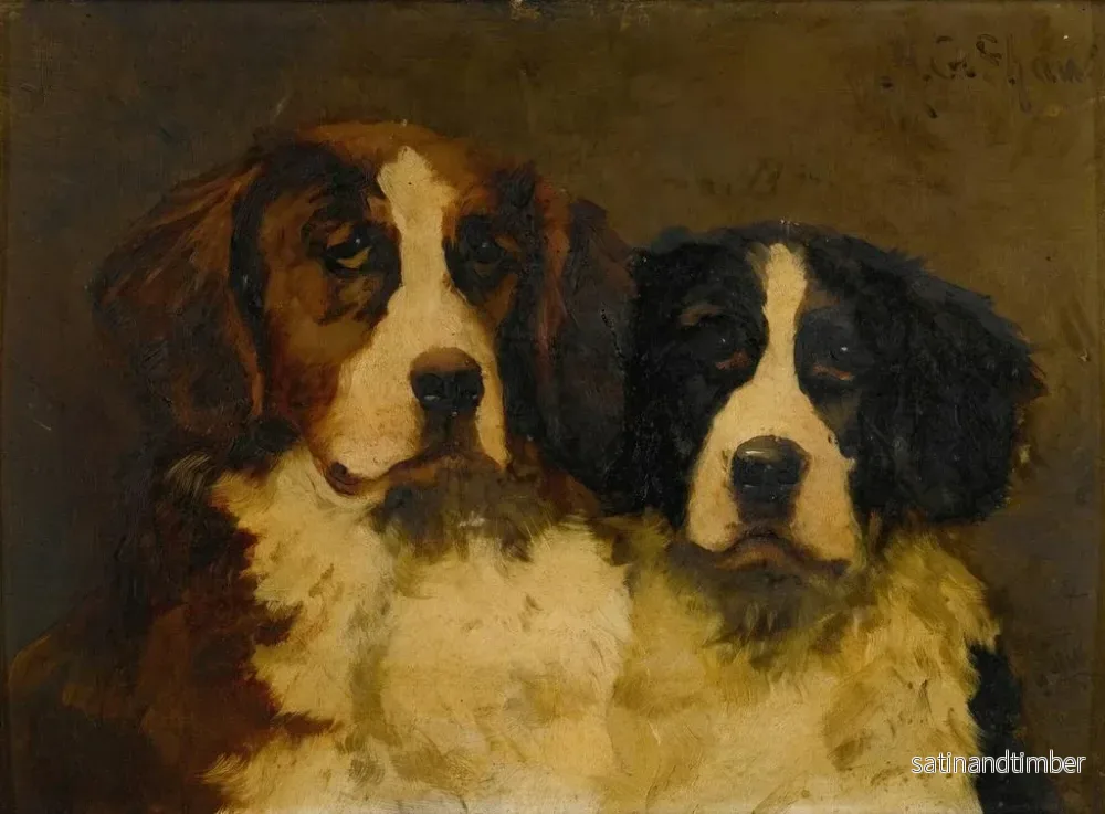 Reproduktion av målningen Studie av två Saint-Bernard - Hugh George Shaw - Bild 2