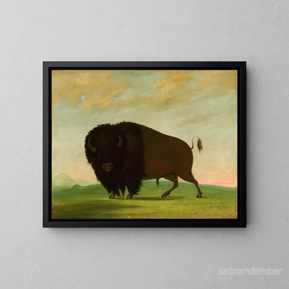 Reproduktion av målningen Bison betande på prärien - George Catlin