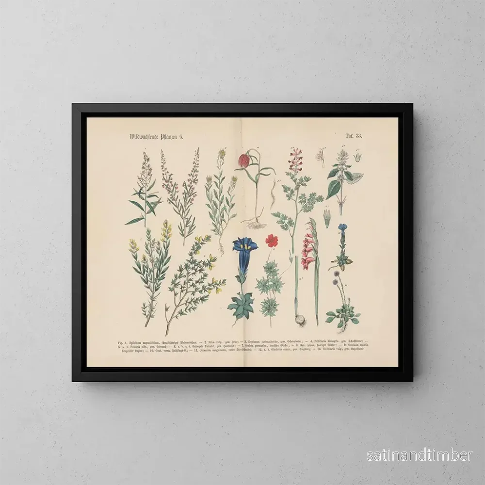 Reproduktion av målningen Manuel de botanique pratique en mots et en images Pl33 - Carl Hoffmann
