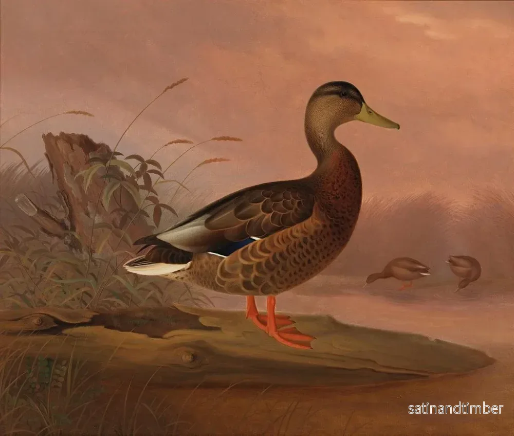 Reproduktion av målningen Kanadagås - Ferdinand von Wright - Bild 2