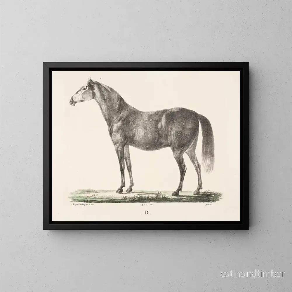 Reproduktion av målningen Le cheval D - Christian David Gebauer
