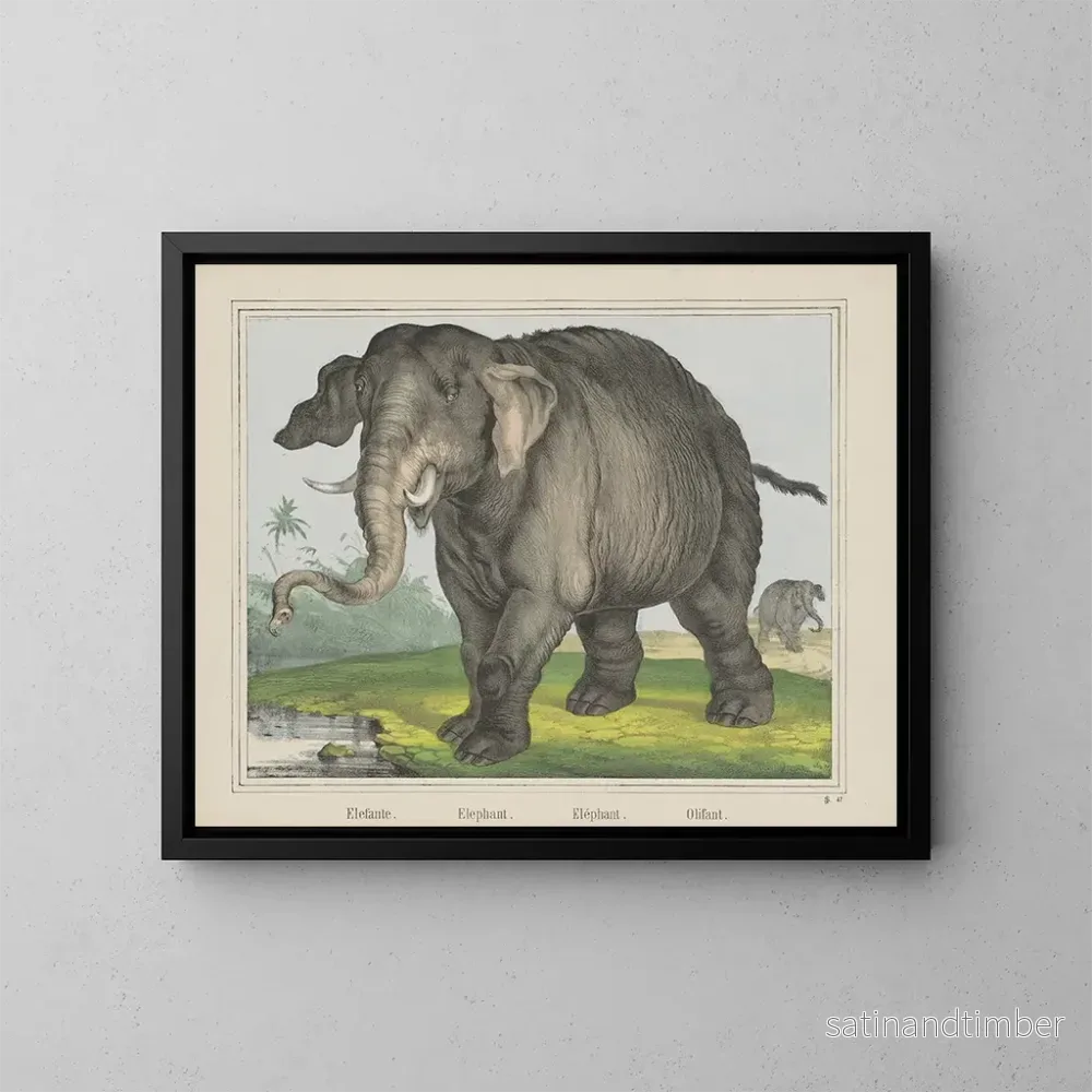 Reproduktion av målningen Elefant - Joseph Scholz