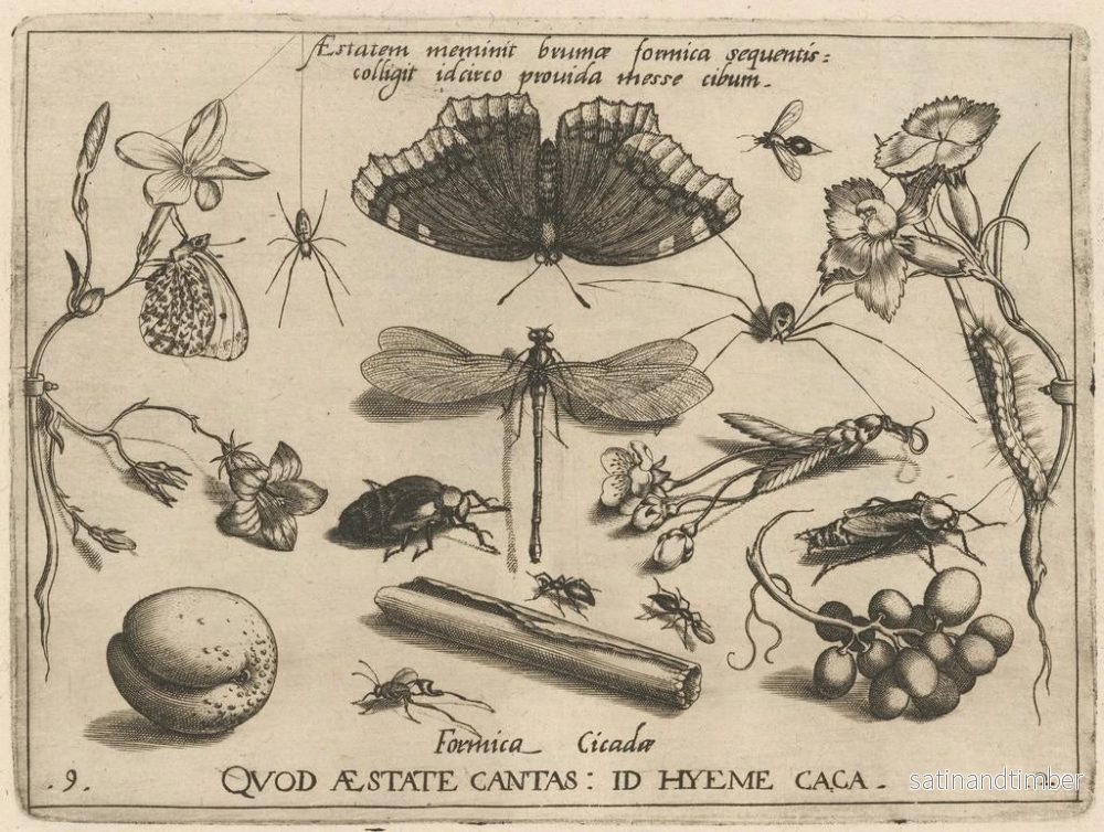 Reproduktion av målningen av arketyp och studier av fadern Georgius Hoefnagel Pl24 - Joris Hoefnagel - Bild 2