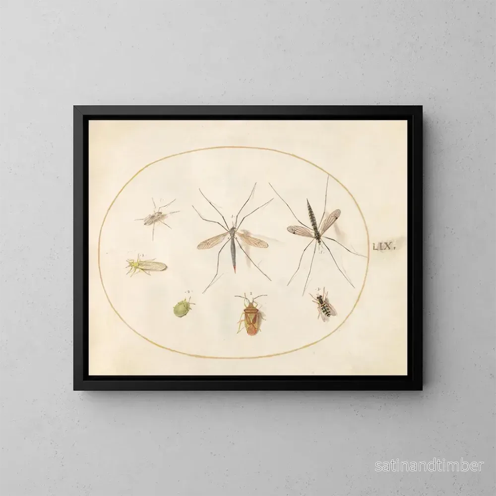 Reproduktion av målningen Platine 59 Sept insekter, inklusive en insekts-sköld av häggen, flugor och en blomfluga - Joris Hoefnagel