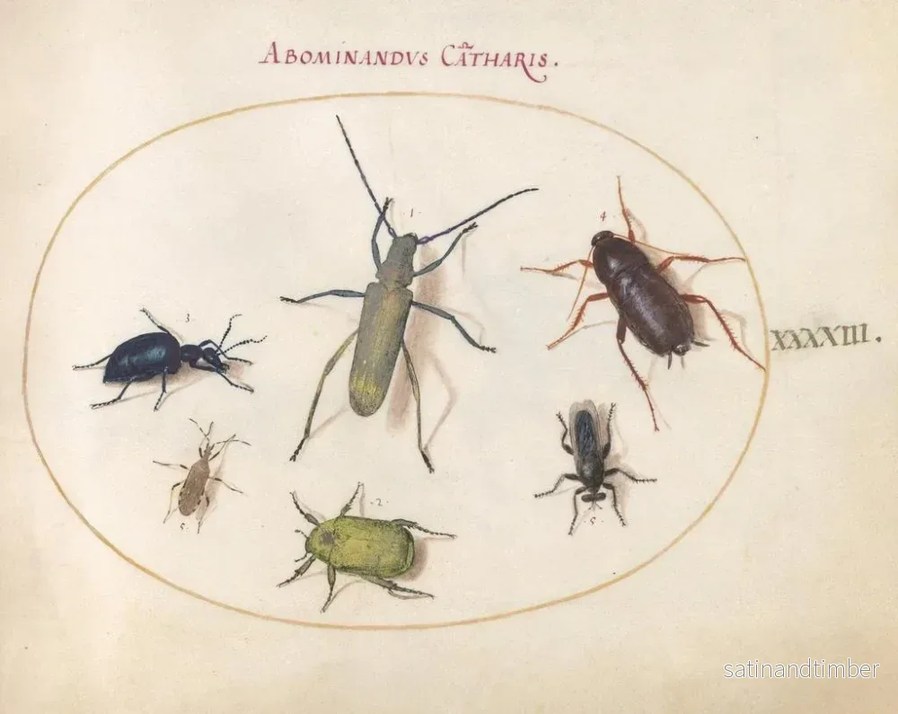 Reproduktion av målningen Planche 43: Skarabé musqué, skarabé oljig, skarabé av tisteln, kackerlacka, bladfoting mygga och andra insekter - Joris Hoefnagel - Bild 2