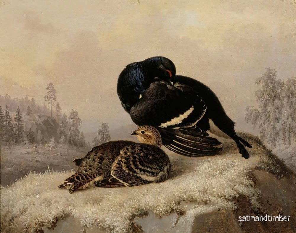 Reproduktion av målningen Tétras lyre hane och hona - Ferdinand von Wright - Bild 2