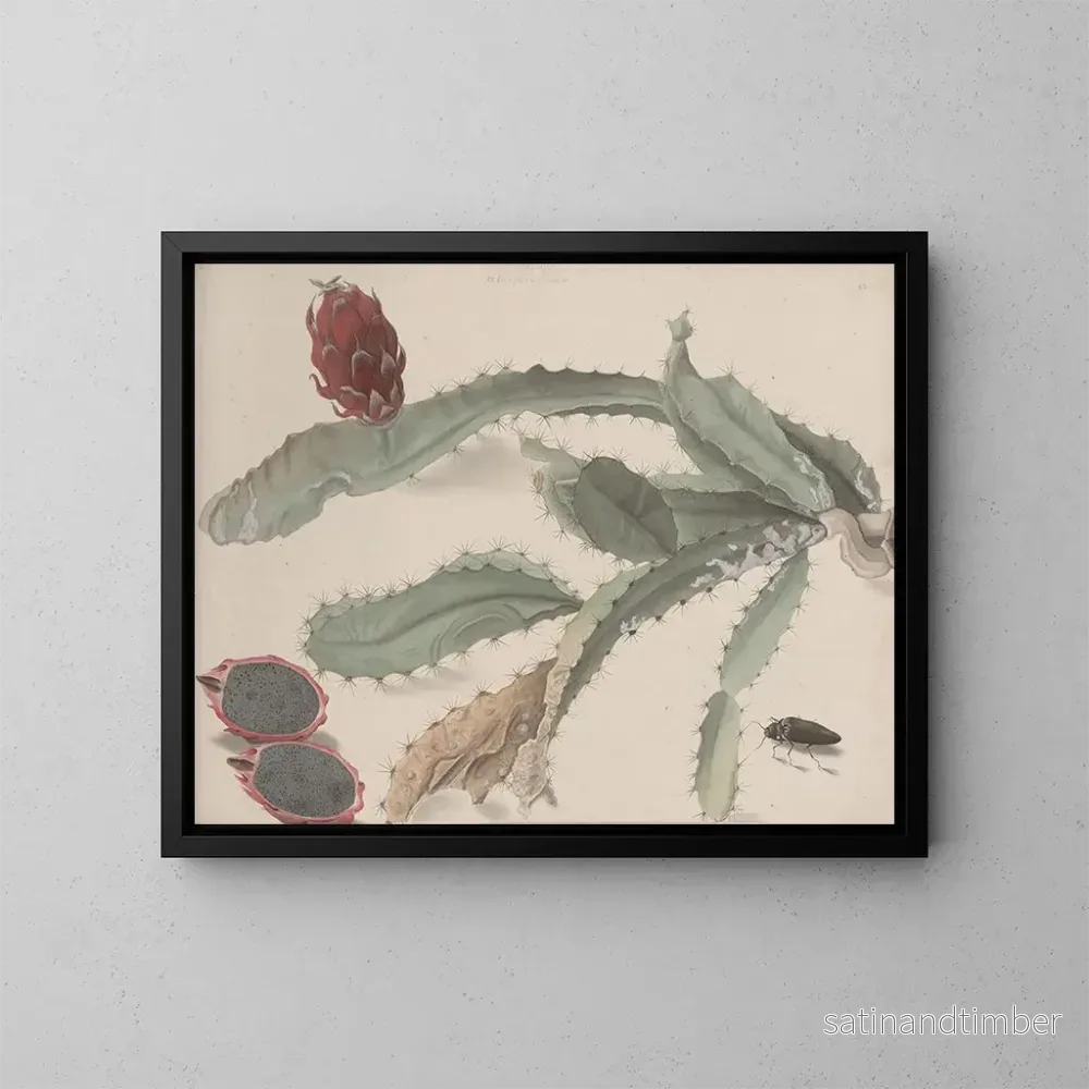 Reproduktion av målningen Histoire naturelle de Saint-Domingue Pl174 - René de Rabi