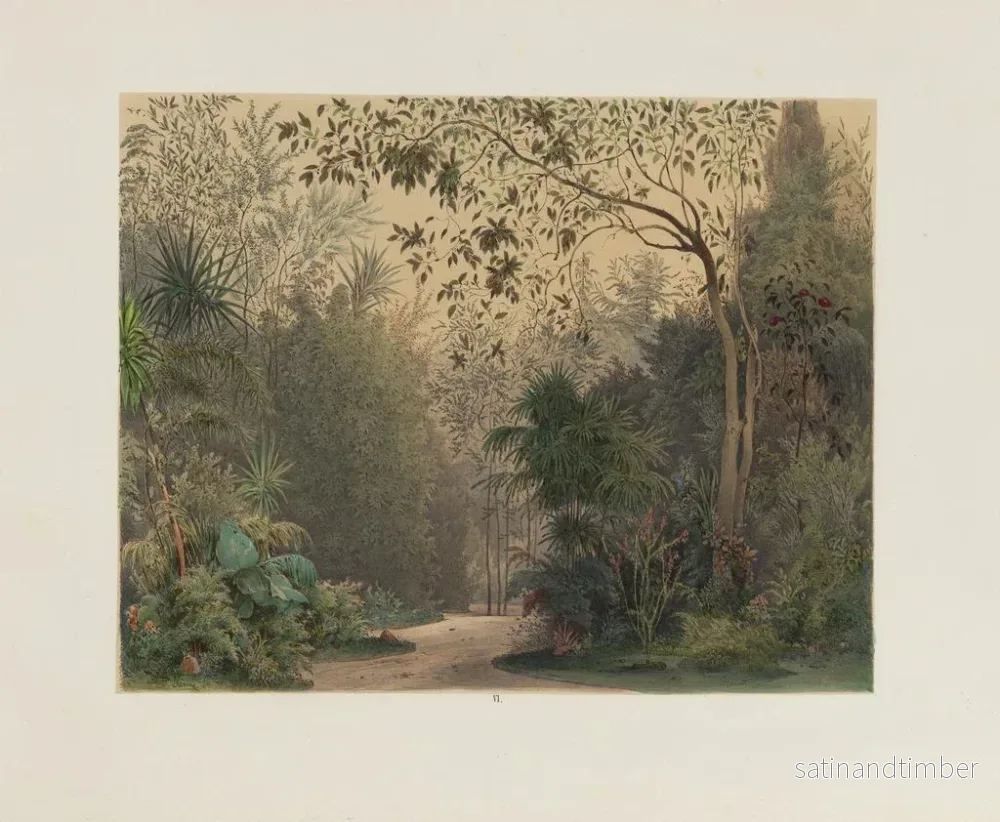 Reproduktion Le jardin d'hiver dans la Hofburg – Franz Antoine — plansch 06 - Bild 2