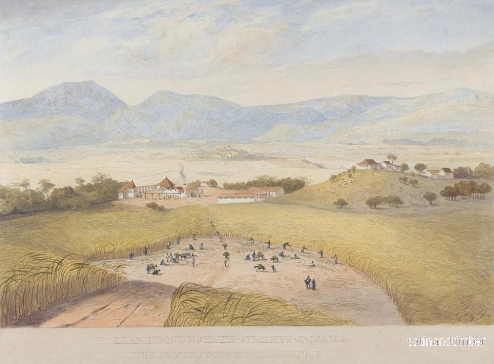 Reproduktion av målningen Domaine de Llanrumny, Sainte-Marie, Jamaïque - James Hakewill - Bild 2