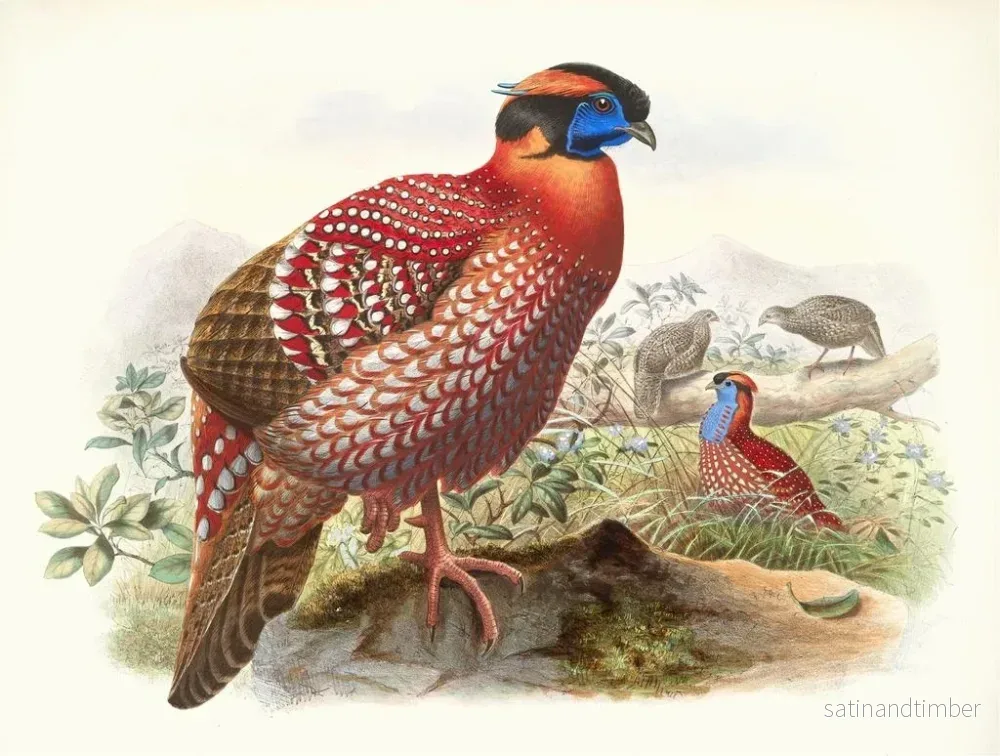 Reproduktion av målningen Certhia Temminckii - Joseph Smit - Bild 2