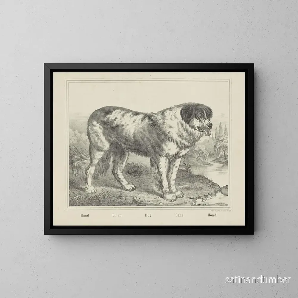 Reproduktion av målningen Hund - Joseph Scholz