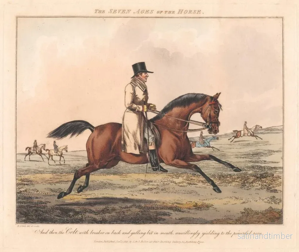 Reproduktion av målningen Les Sept Âges du Cheval - Henry Thomas Alken - Bild 2