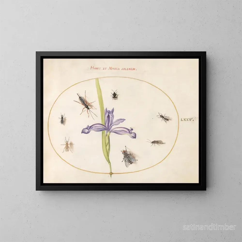 Reproduktion av målningen Platine 75 En fluga och andra insekter med ett iris - Joris Hoefnagel