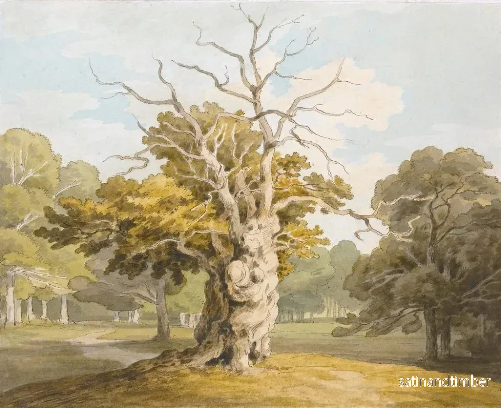 Reproduktion av målningen Ett ekträd vid Kedleston Hall, Derbyshire - John White Abbott - Bild 2