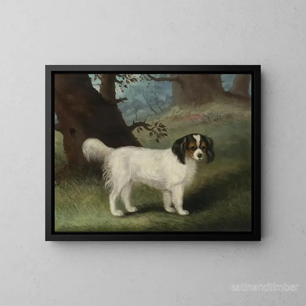 Reproduktion av målningen King Charles Spaniel – Samuel Spode Reproduktion av målningen King Charles Spaniel – Samuel Spode