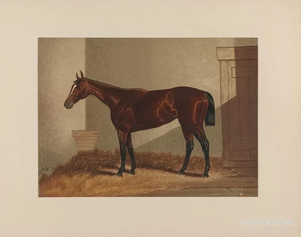 Reproduktion av målningen Thora - Henry Stull - Bild 2