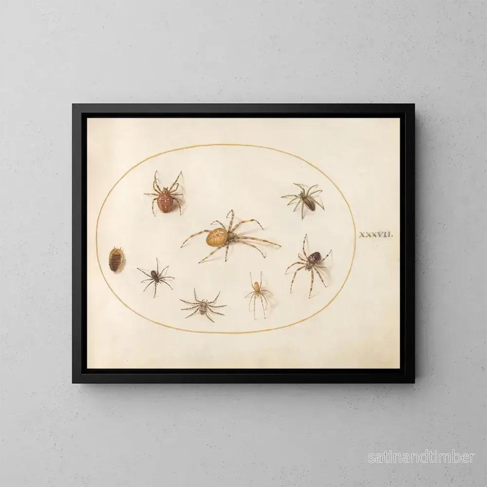 Reproduktion av målningen Platine 37 Sept araignées et un insecte - Joris Hoefnagel
