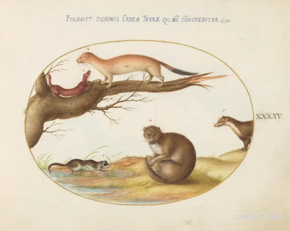 Reproduktion av målningen Furets, en furet och en nötmus - Joris Hoefnagel - Bild 2