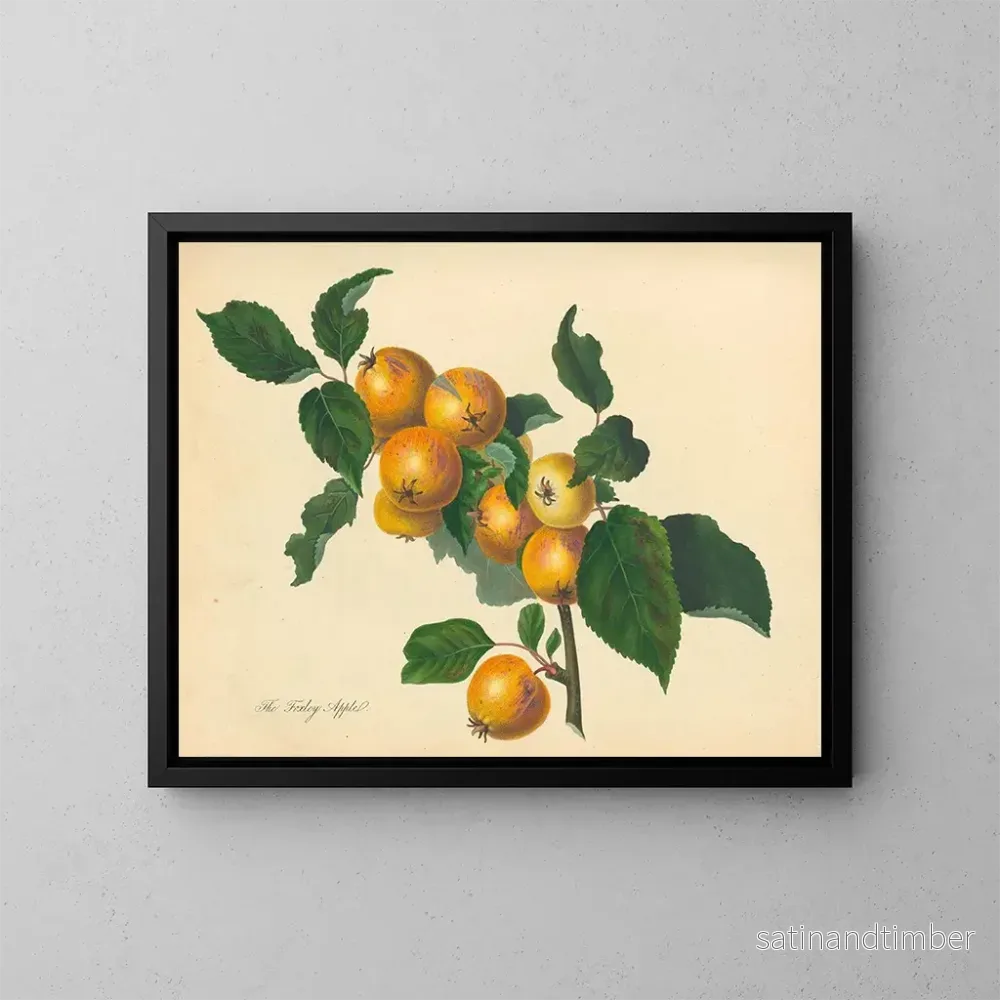 Reproduktion av målningen Pomme de Foxley - Thomas Andrew Knight