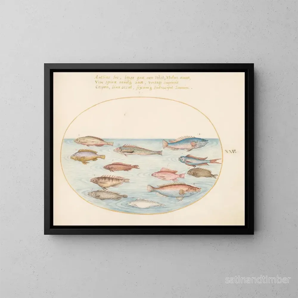 Reproduktion av målningen Planche 25: Medelhavs-bläckfisk, andra labrer, en fisk-stjärt med svan, flera anthias och andra fiskar - Joris Hoefnagel