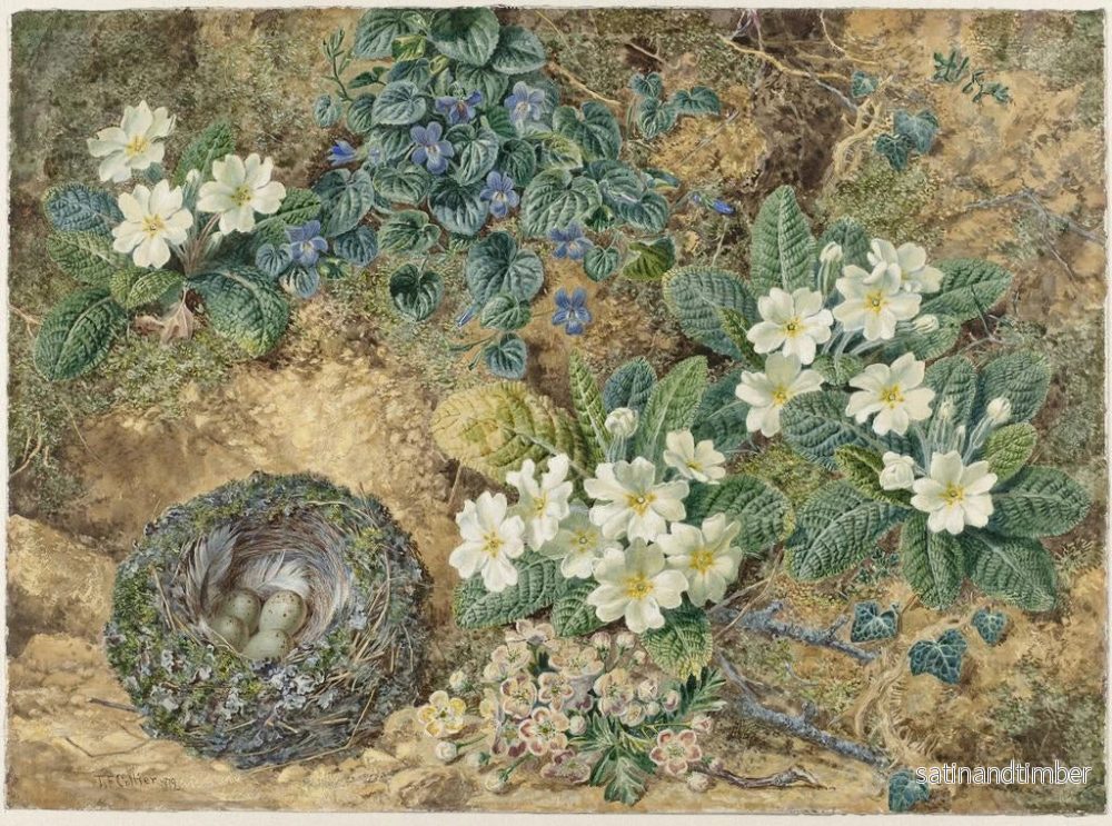 Reproduktion av målningen av Naturmålning med ett fågelbo, violer, primula och äppelblommor - Thomas Frederick Collier - Bild 2