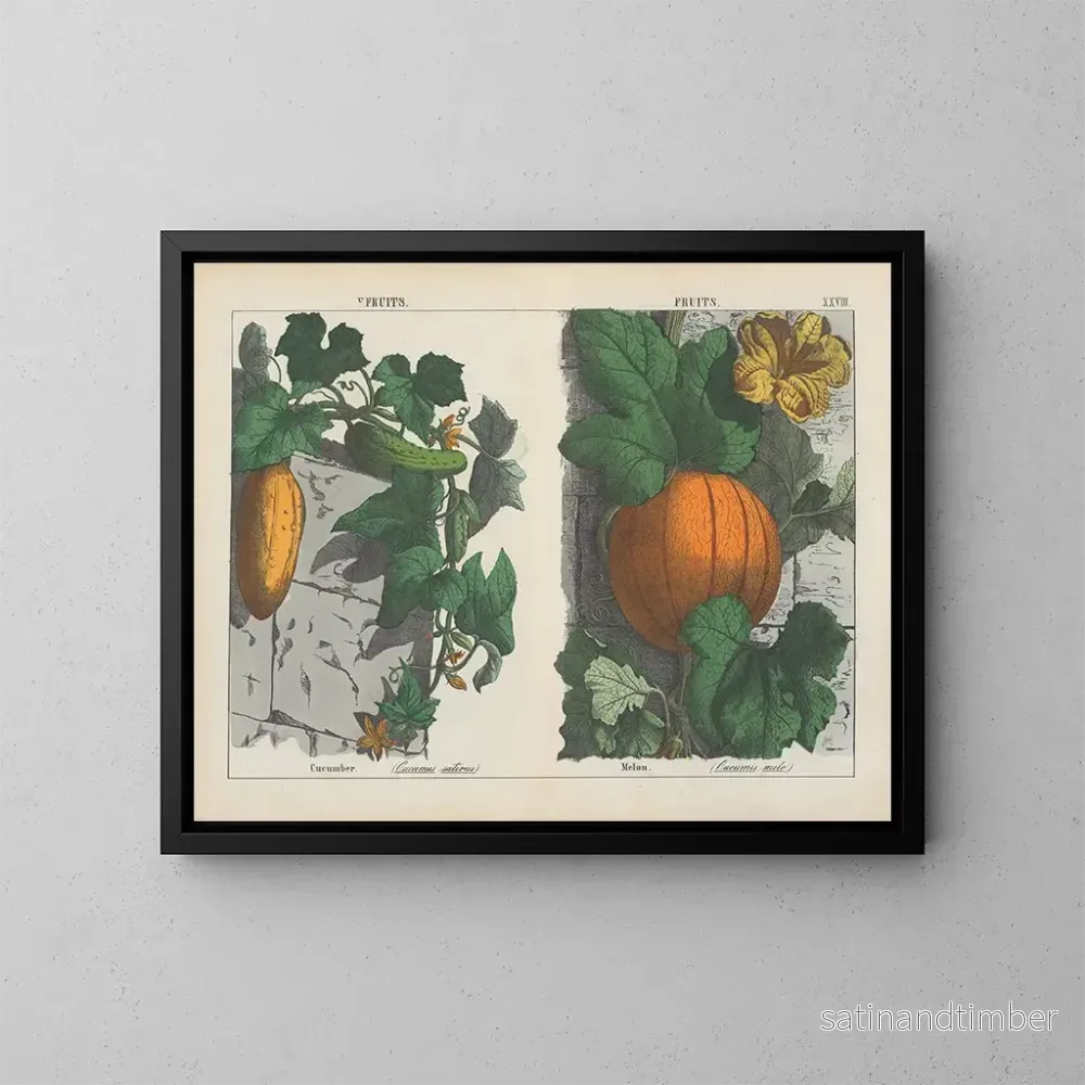 Reproduktion av målningen av frukt, gurka och melon - Charlotte Mary Yonge