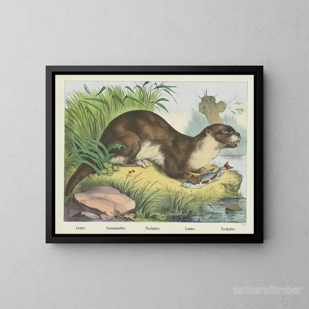Reproduktion av målningen Loutre de rivière - Joseph Scholz