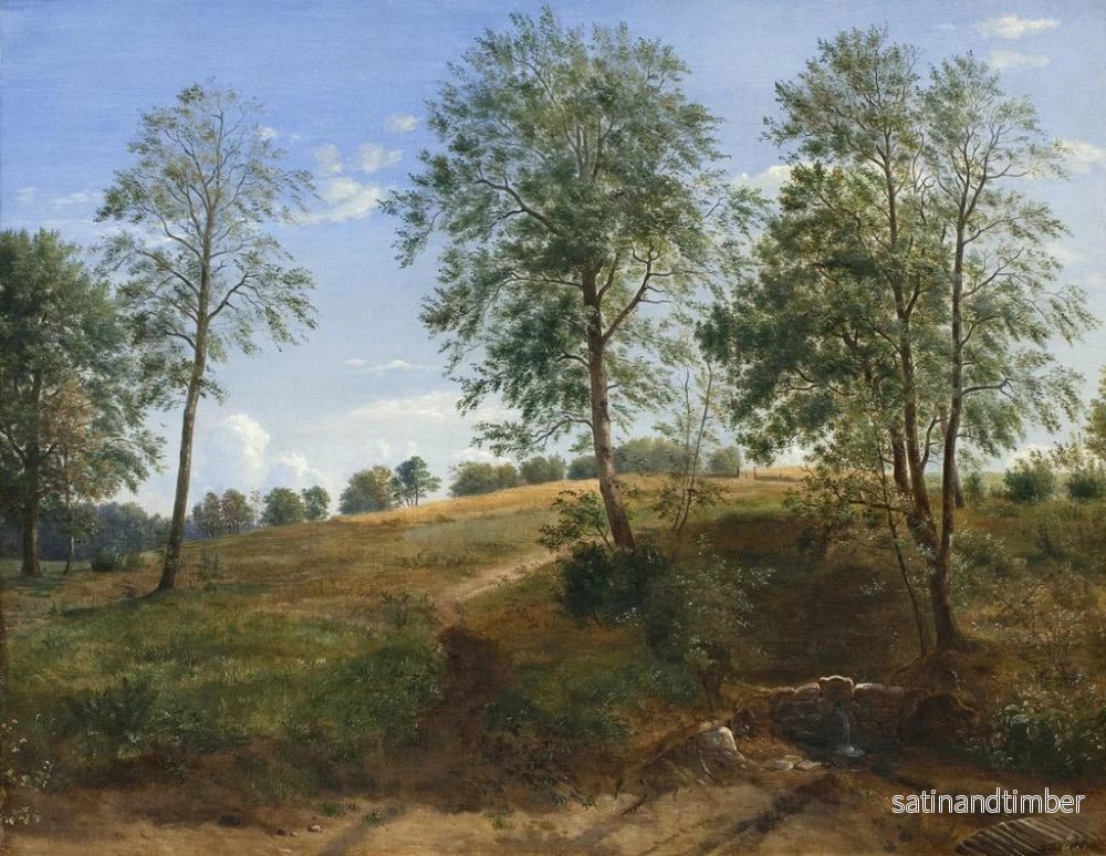 Reproduktion av målningen La source de Caroline à Næsby sur Funen - Dankvart Dreyer - Bild 2