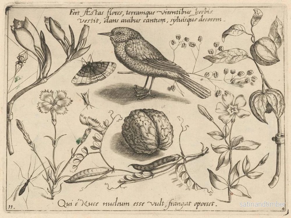 Reproduktion av målningen av arketyp och studier av fadern Georgius Hoefnagel Pl41 - Joris Hoefnagel - Bild 2