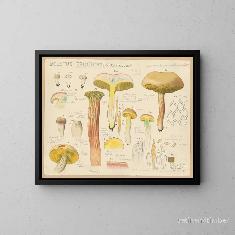 Reproduktion av målningen Boletus eriophorus – Hans Baldung Reproduktion av målningen Boletus eriophorus – Hans Baldung