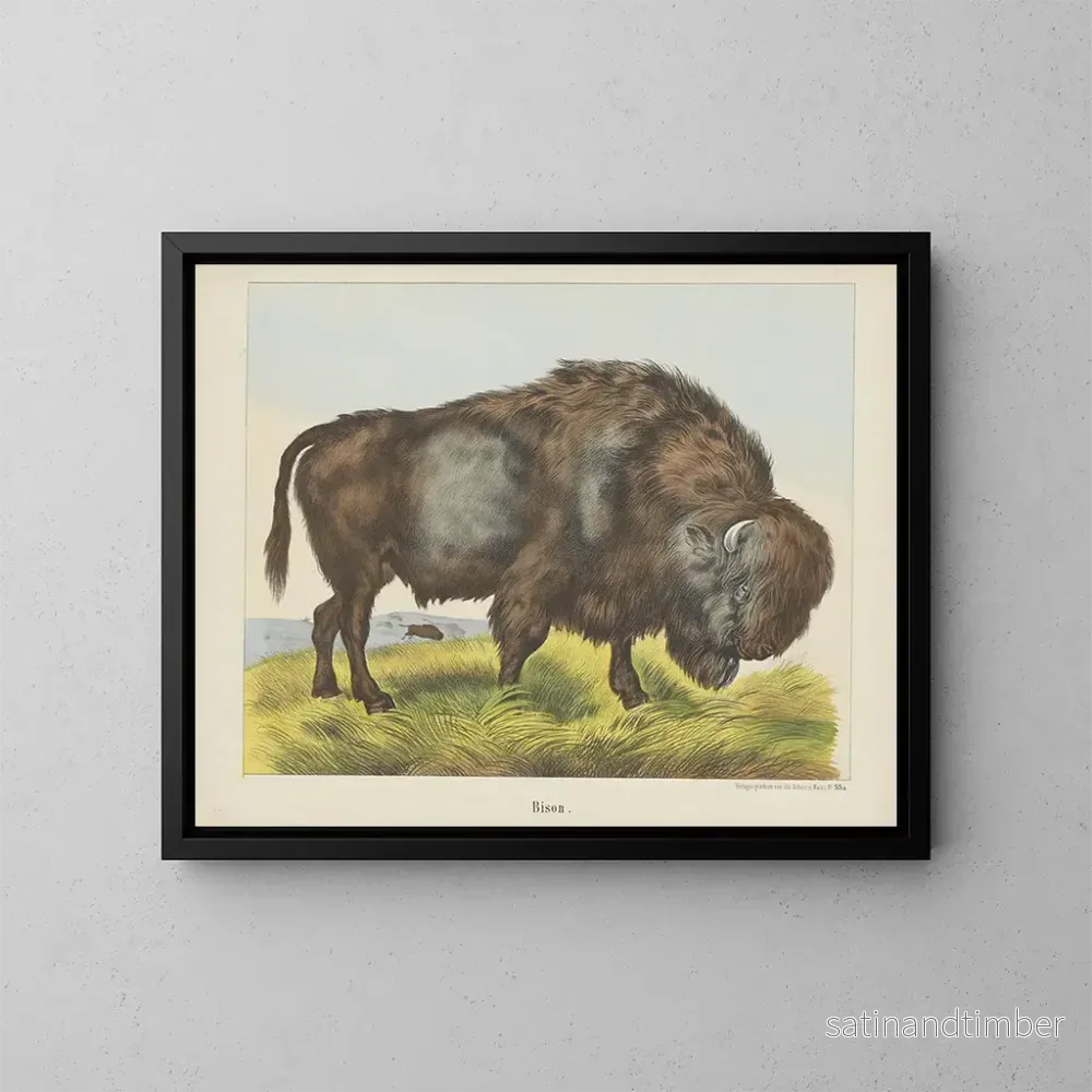 Reproduktion av målningen Bison - Joseph Scholz
